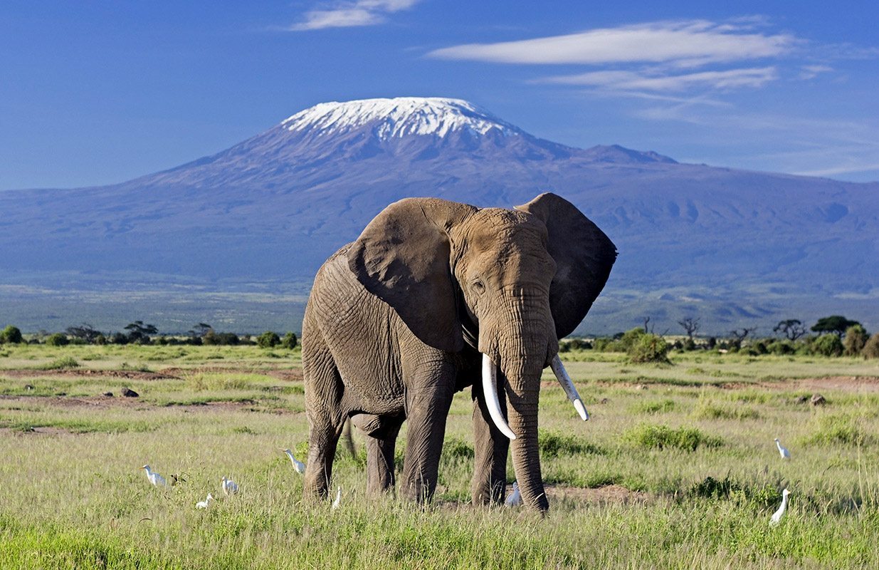 Przygoda Family Holiday Safaris