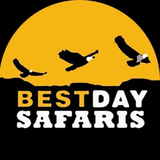 Bestday Safaris